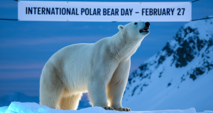 International Polar Bear Day February 27 2025 International Polar Bear Day February 27 2025